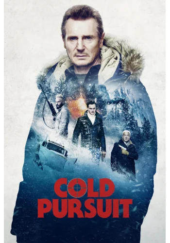 Cold Pursuit - DVD