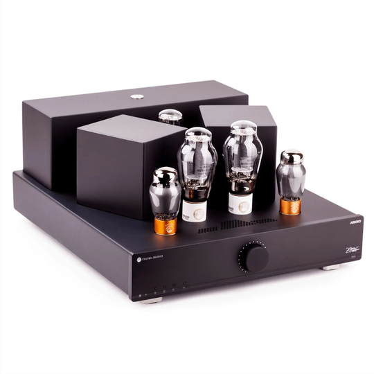 Feliks Audio Arioso 300B stereovahvistin